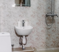 Одноместный в Silva