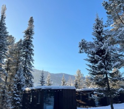 Стандарт в Телецкое Золотое