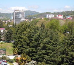 Квартира в Апартаменты на Ленина 219/35