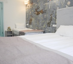 Трёхместный семейный номер с ванной в Kirin hotel