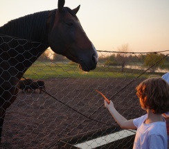 Дневное пребывание в Земские имения