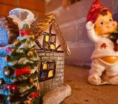 Шестиместный Дом № 3 в Дубки