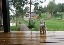 пос. Реускула: Турбаза Forrest Lodge Karelia