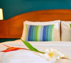 Одноместный номер Standard односпальная кровать в Гостевой дом Sugar Inn Phuket