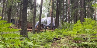 Лахденпохский район: Глэмпинг Вили Улей Карелия