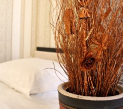 Люкс в Кани