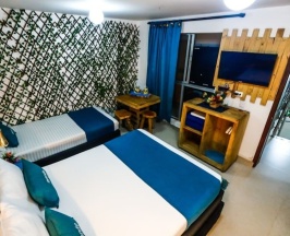Номер Standard в Ayenda Jardin de Provenza