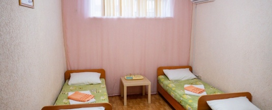 4 х местный бюджетный в Диана