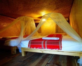 Двухместный номер Standard 2 отдельные кровати в Karen Hill Tribe Lodge