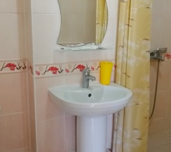 Двухместный номер Standard 2 отдельные кровати в Галина