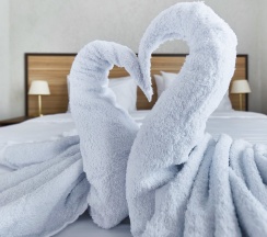 Трёхместный номер Эконом в Романовский