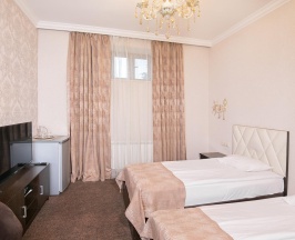 Номер эконом №005 в Hotel central
