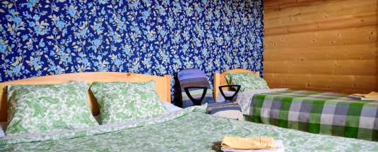 Эконом - "Васильковая комната" в Ясная поляна