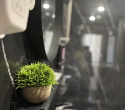 Комфорт Сьют плюс в Ларионов