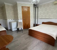 Трёхместный номер Standard в Камелия