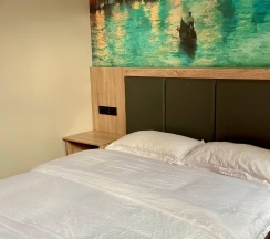 2-местный номер стандарт улучшенный в Holiday hotel