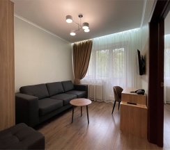 Полулюкс 2 комнатный с стандартной гостиной (джуниор сюит) в Истра