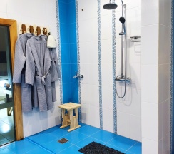 Номер люкс улучшенный в Залесный