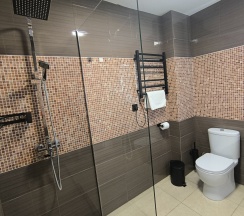 Делюкс DBL/SGL в Никольское