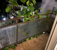 3-местный номер стандарт в Диана