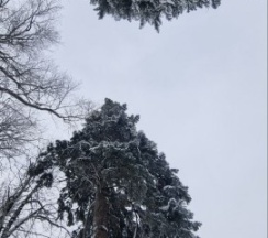 ДОМ № 4 в Вайб