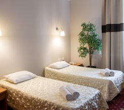 Двухместный стандарт в Аристоль