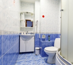 Стандарт 303 в Никольский