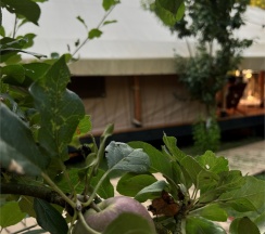 5 Tent-house (с фурако) в Apparadise