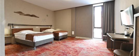 Twin Disabled в Hunnu Hotel