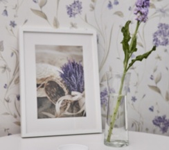 Бюджетный номер с раскладывающийся кроватью в Наше радушие