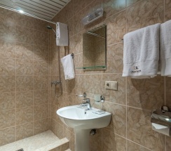 Эконом (одноместный) в Кронотель