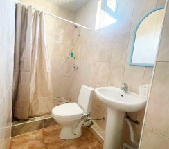 Двухместный стандарт в Калатея