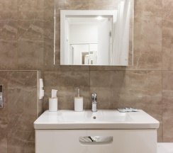 1-комнатные апартаменты улучшенные в Banerjee Apartments