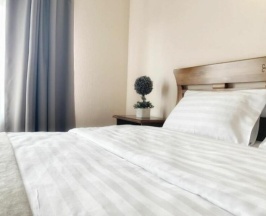 Номер стандарт в Bridge hotel