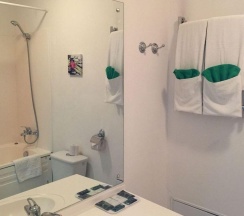 Двухместный номер с 1 кроватью и сауной в Западная