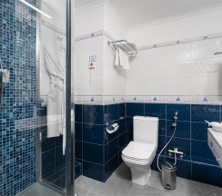 Полулюкс в Александровский сад