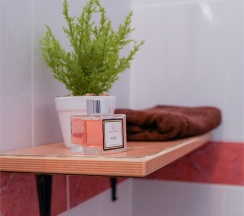 Стандартный 3х местный номер 1 этаж в Green oasis Vavilon