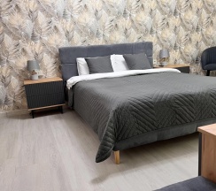 Номер комфорт с 1 двуспальной кроватью в Aeg relax