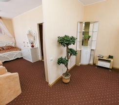 Номер студия комфорт с 1 двуспальной кроватью в Урал