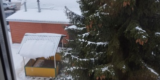 Старая Купавна: Отель Визит