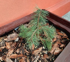 2-местный 1-комнатный номер студия стандарт в Апарт-отель