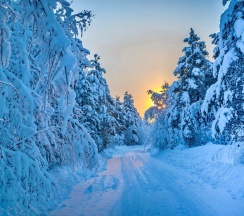 Барнхаус «Скандинавия» в Aldi-Karelia