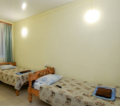 Стандартный 2х местный номер 2 этаж в Green oasis Vavilon