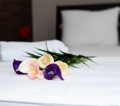 Стандартный семейный номер (5 этаж без лифта) в Everest