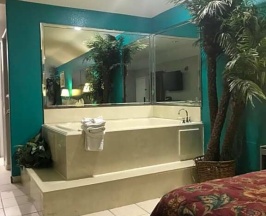 Двухместный номер Standard двуспальная кровать в Camelot Inn & Suites Veterans Memorial NW Houston