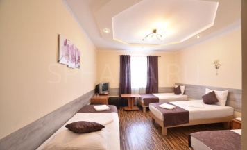 Номер стандарт семейный в Замок