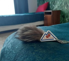 Княженика  в Камчатдар