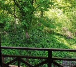 Двухкомнатный комфорт-семейный в Tuta