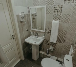 Номер люкс (с завтраком, мансарда) в Larch