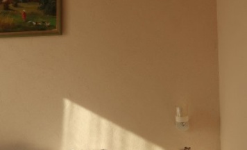 Коттедж с красивым видом из окна в Берёзка